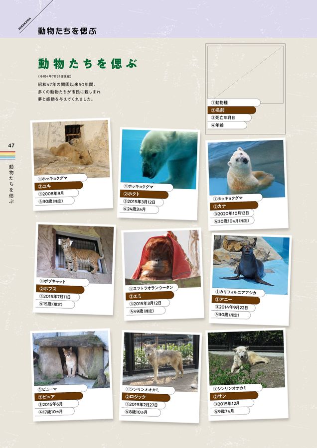 記念誌の参考デザイン例（平川動物公園50周年記念誌）