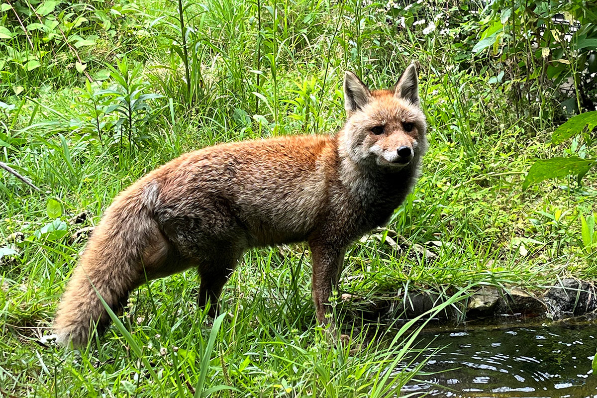 摂食障害は誰にでも起こる可能性があります