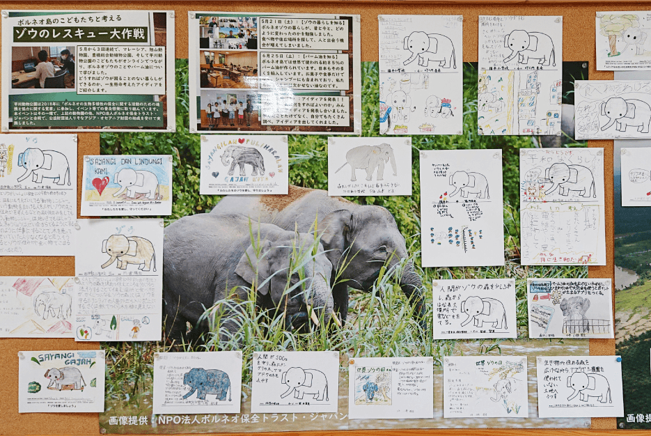 「世界ゾウの日」に関するポスターの掲示