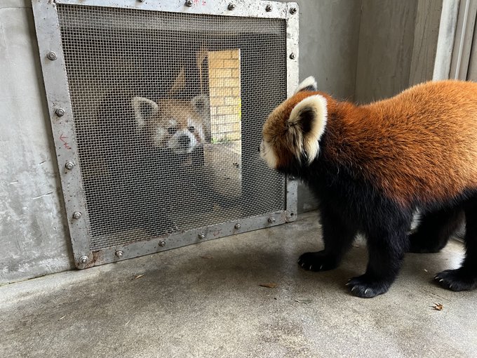 日替わり開催！１月の飼育員いちおし！