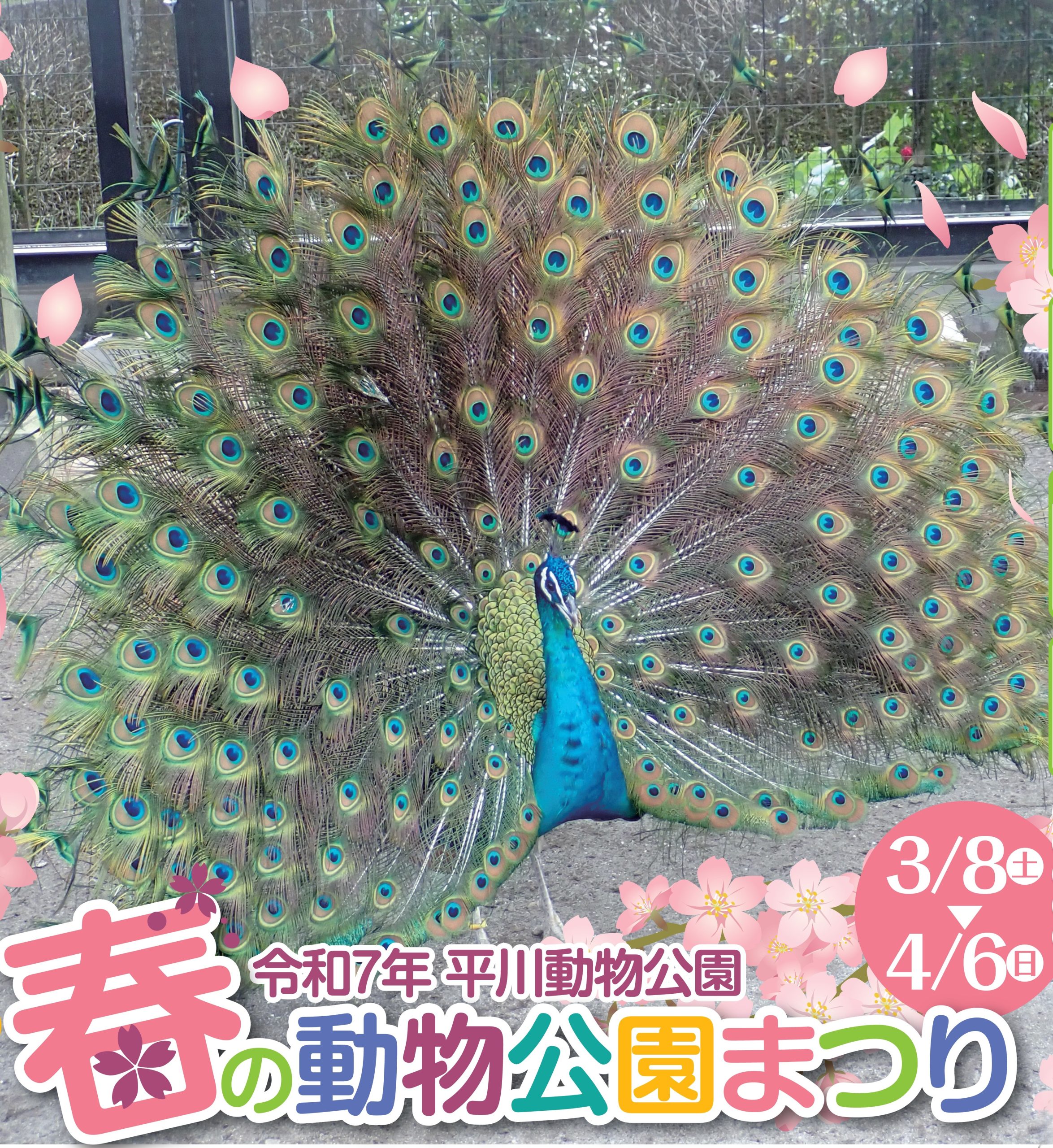 平川動物公園「春の動物公園まつり」