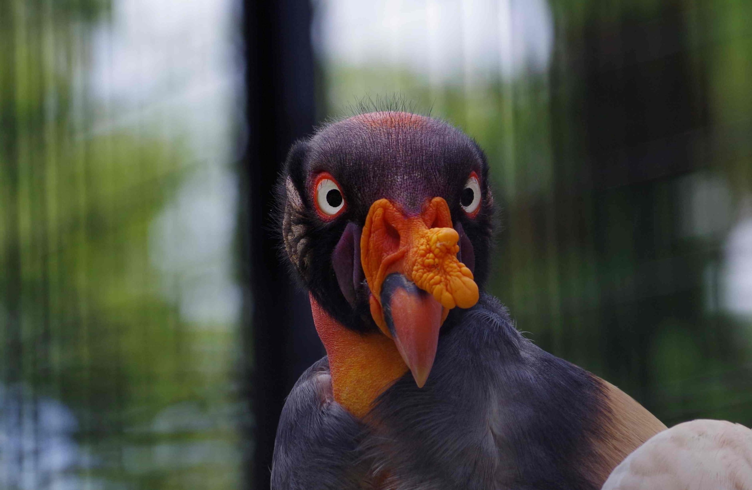 ２月の「園長とお散歩タイム」