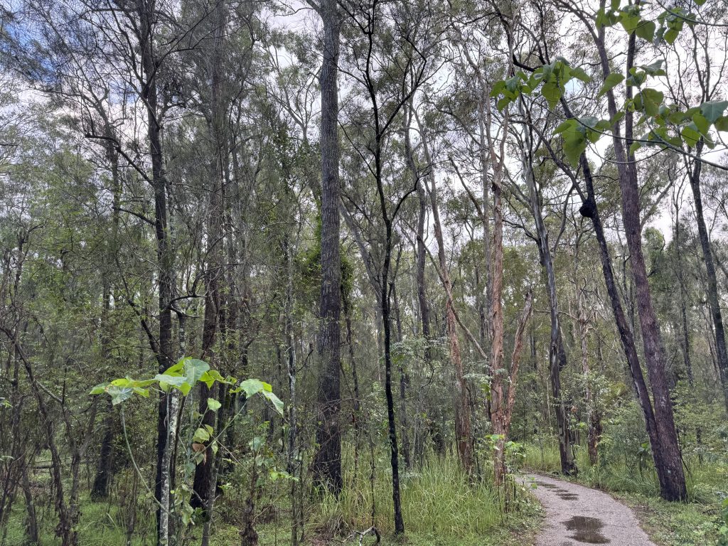 オーストラリアに行ってきました！～後編～