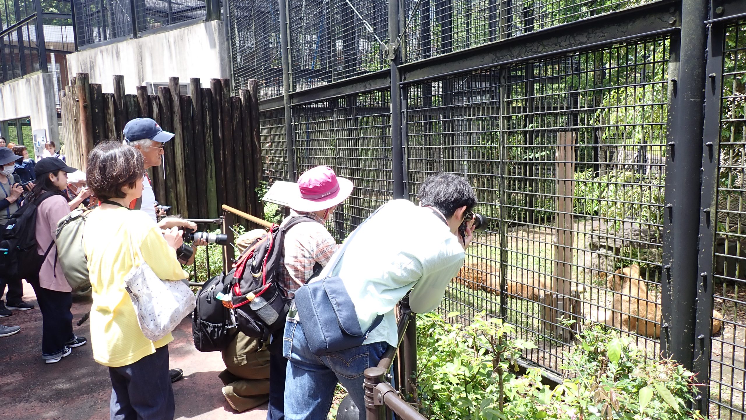 ライオン展示場