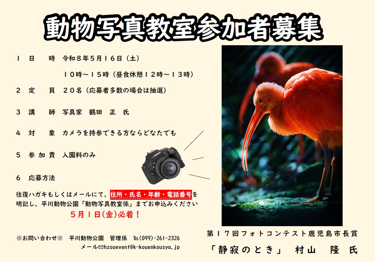 写真教室ポスター