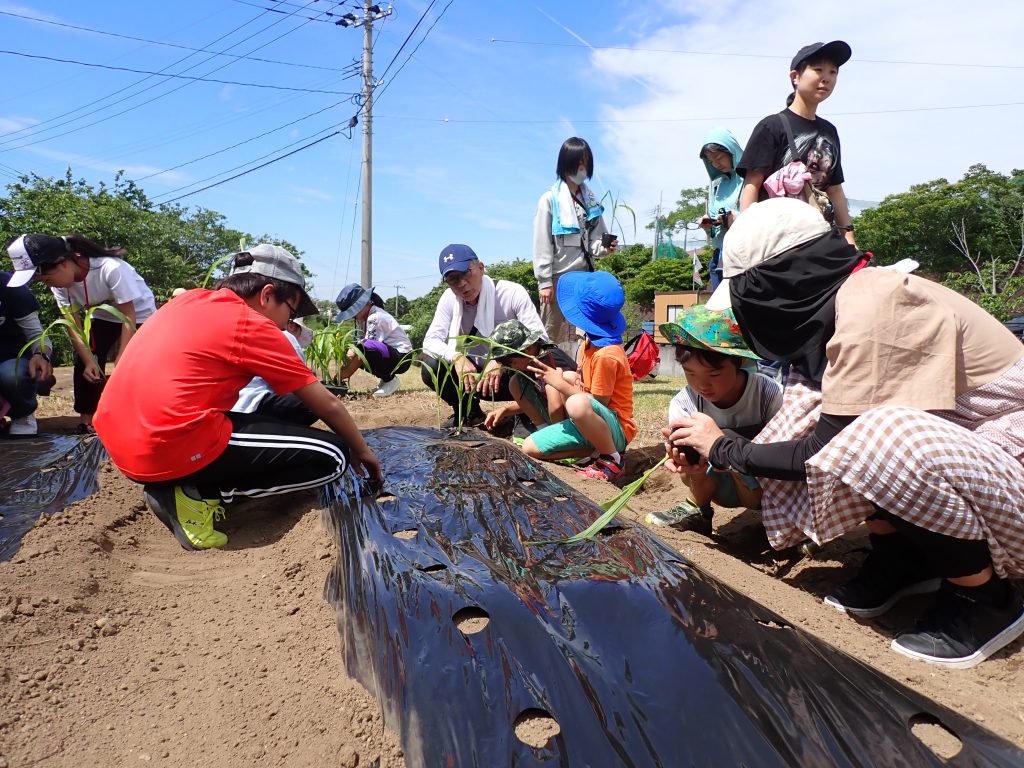えさ作り・えさやり体験の参加者を募集します