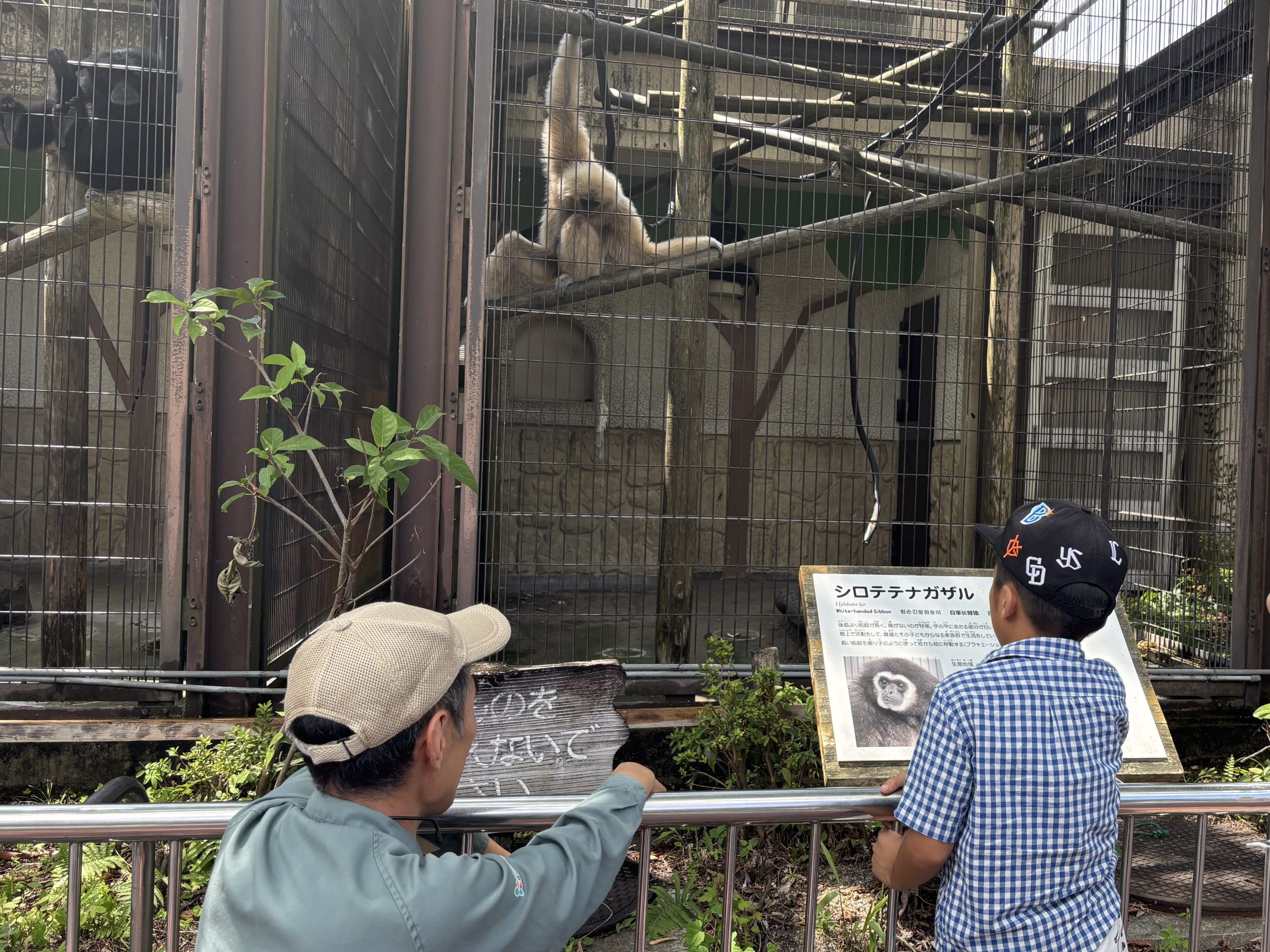 動物園で自由研究！」自由研究生を募集します - 平川動物公園公式サイト