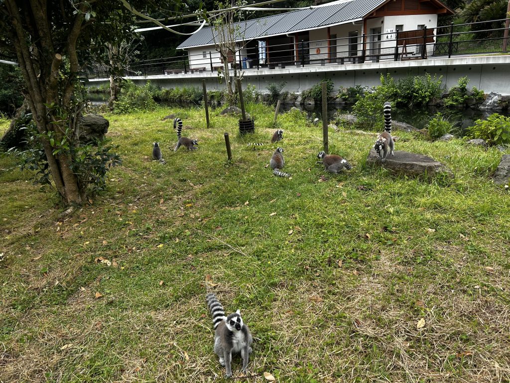 ワオ福祉向上し隊　その2