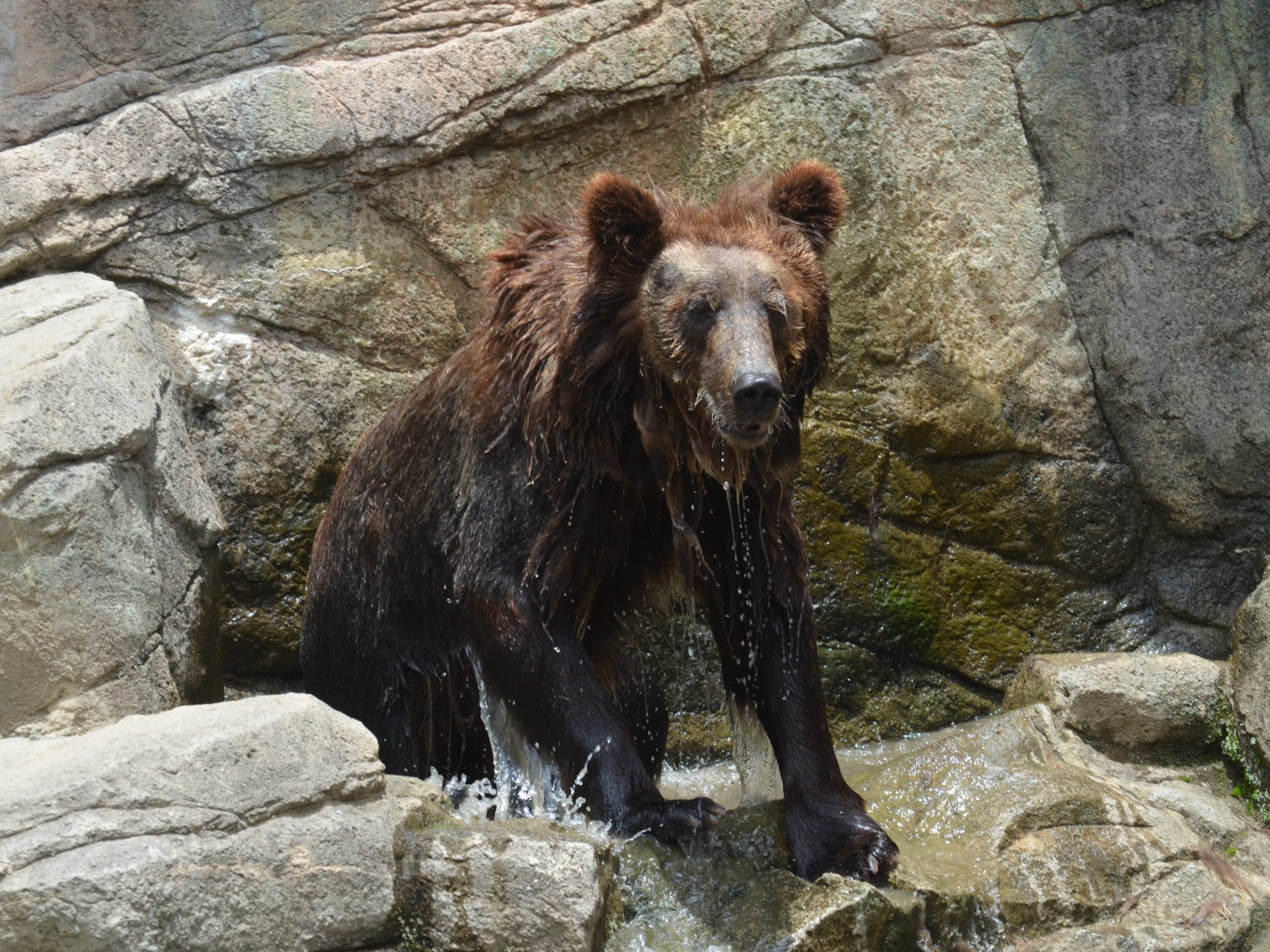 平川動物公園「夏の動物公園まつり」のお知らせ