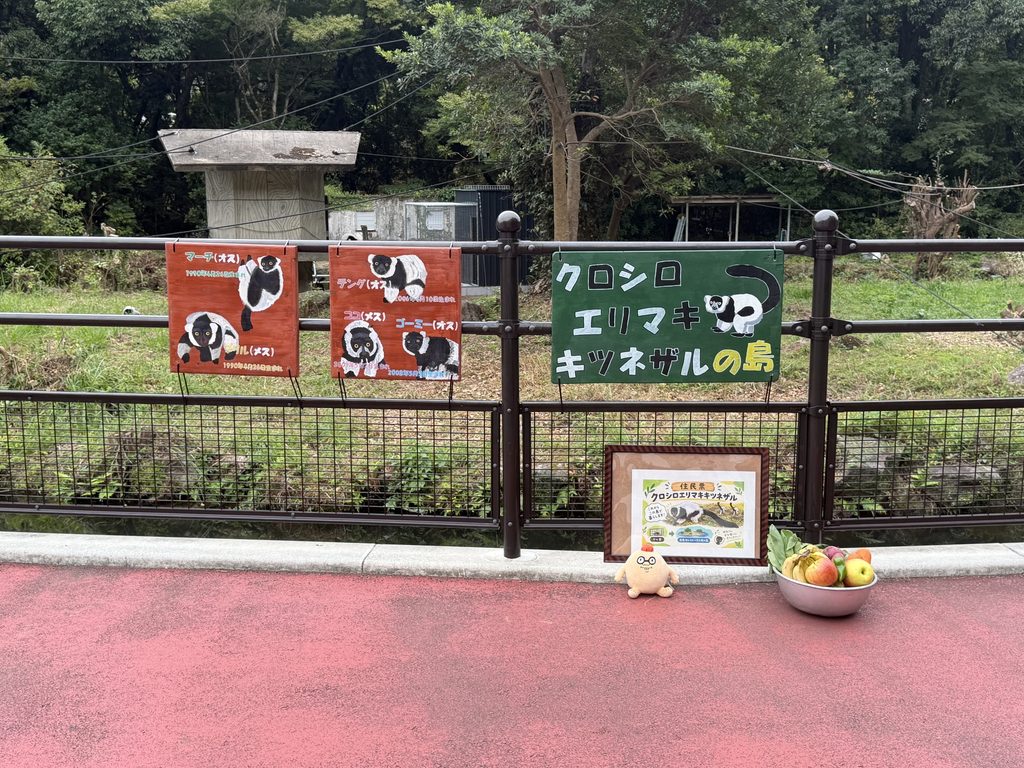 この島、〇〇の島！